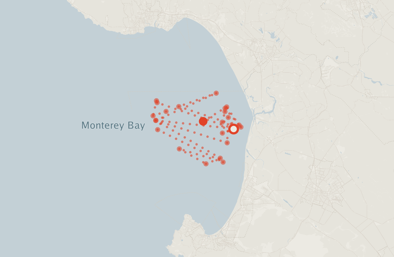Activity map — real sighting points on an OpenStreetMap basemap