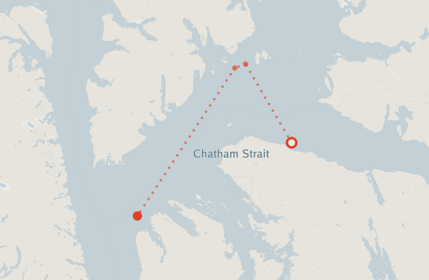 Activity map — real sighting points on an OpenStreetMap basemap