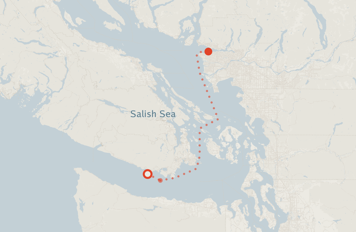 Activity map — real sighting points on an OpenStreetMap basemap