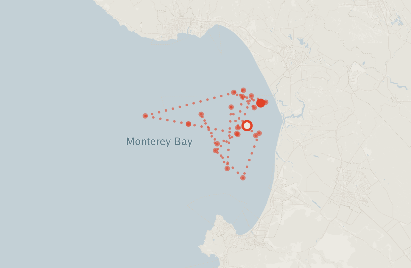 Activity map — real sighting points on an OpenStreetMap basemap