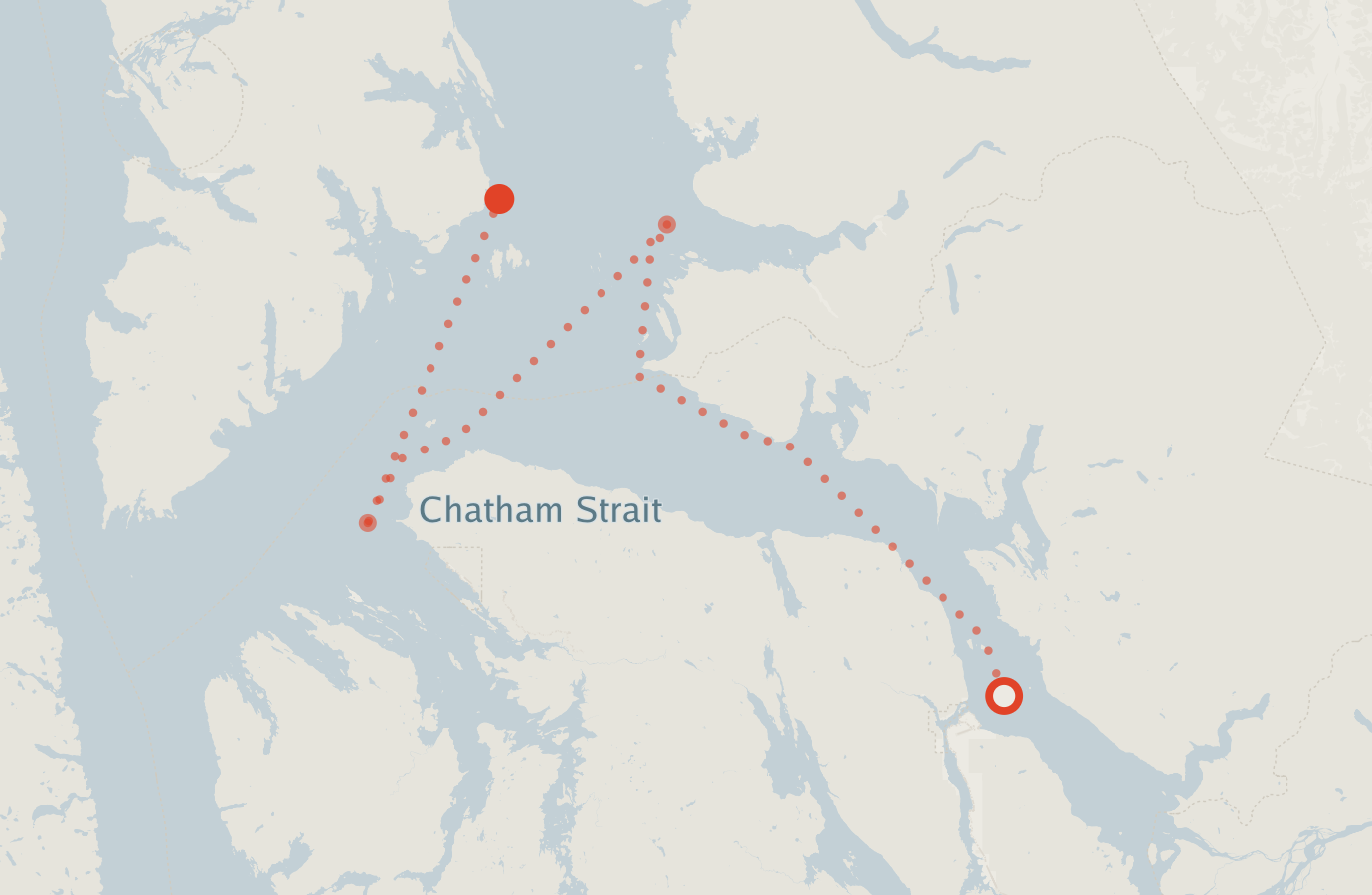 Activity map — real sighting points on an OpenStreetMap basemap
