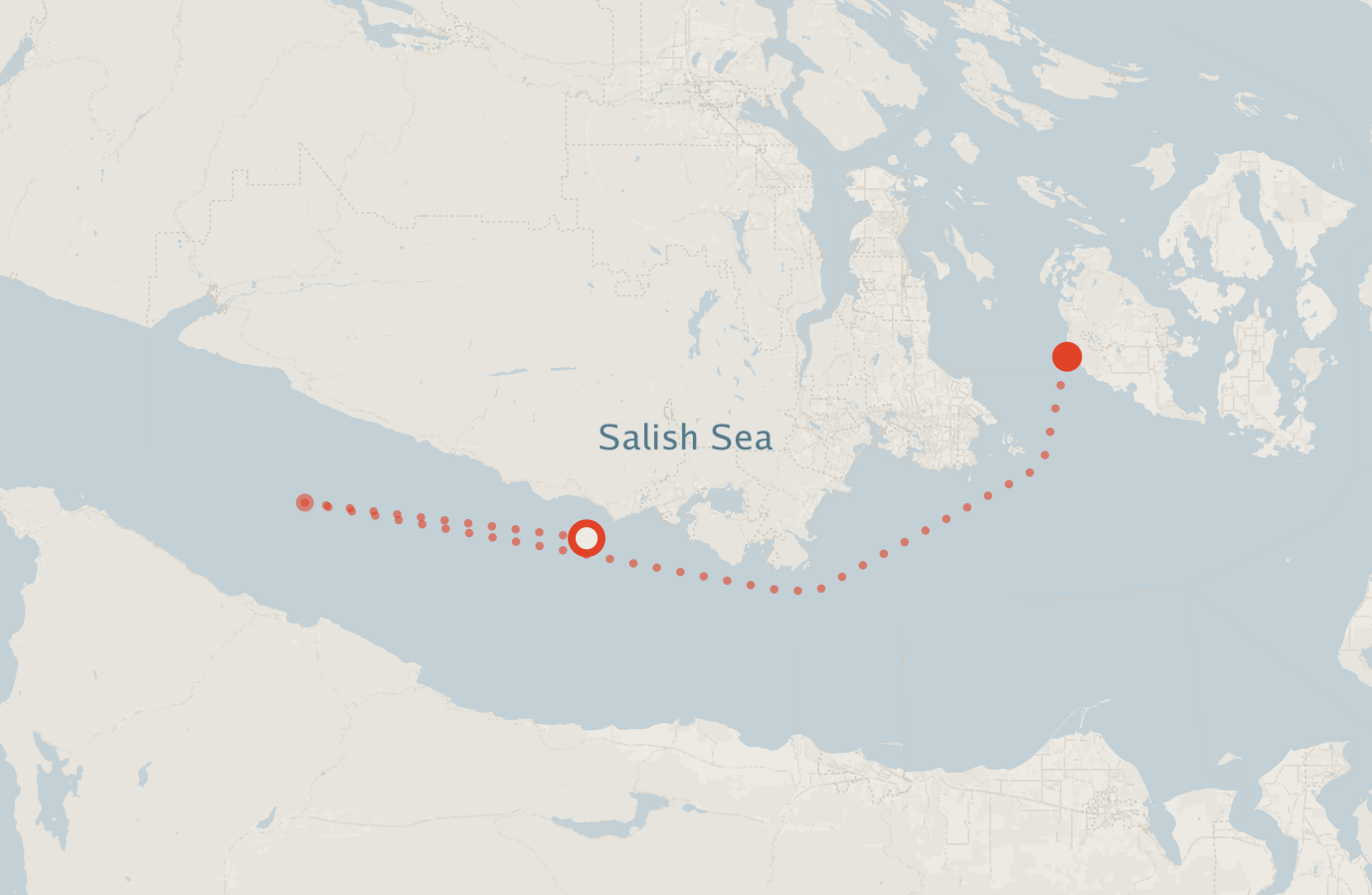 Activity map — real sighting points on an OpenStreetMap basemap