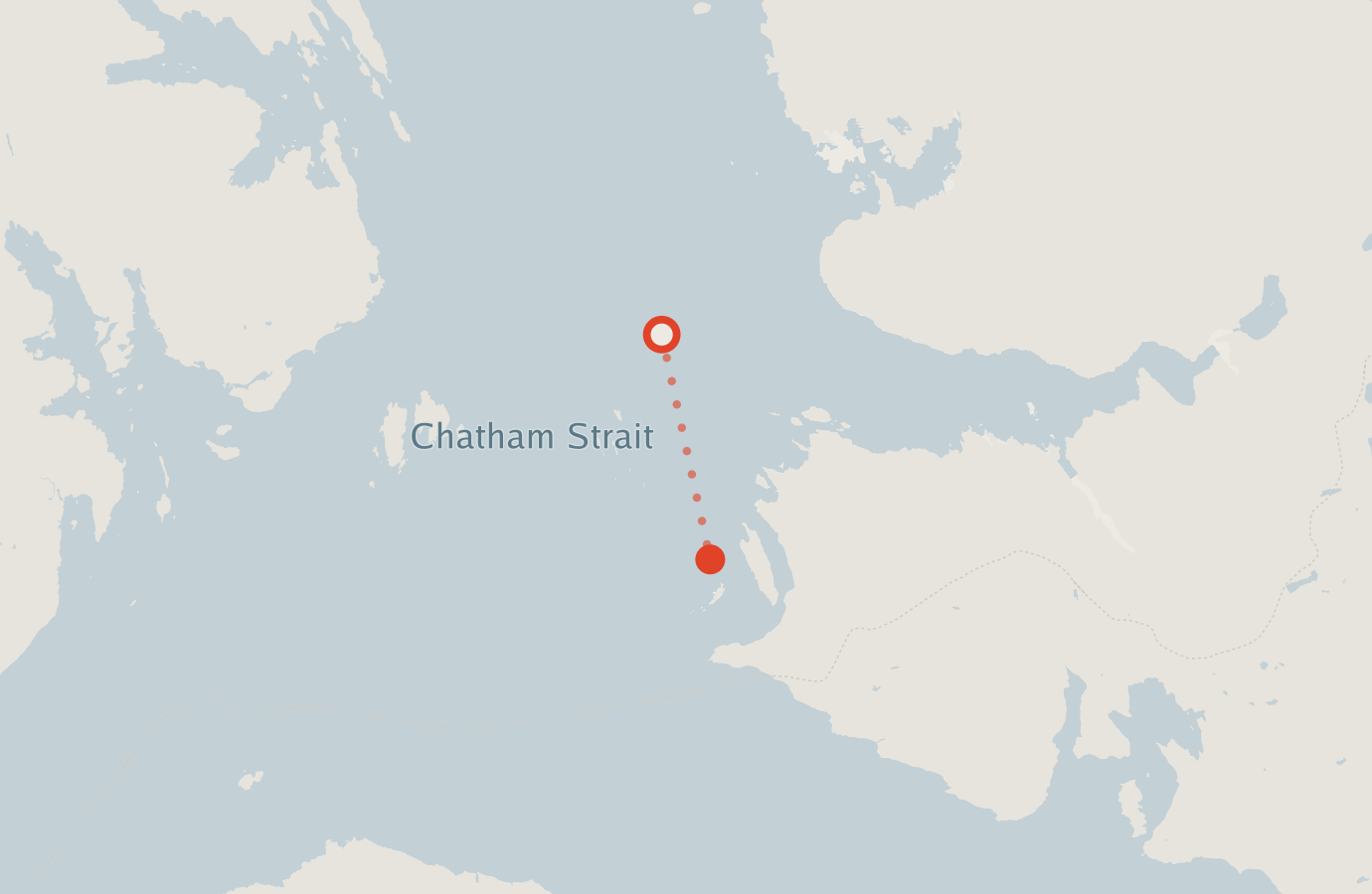 Activity map — real sighting points on an OpenStreetMap basemap