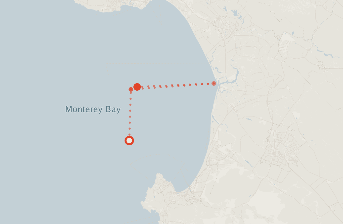 Activity map — real sighting points on an OpenStreetMap basemap