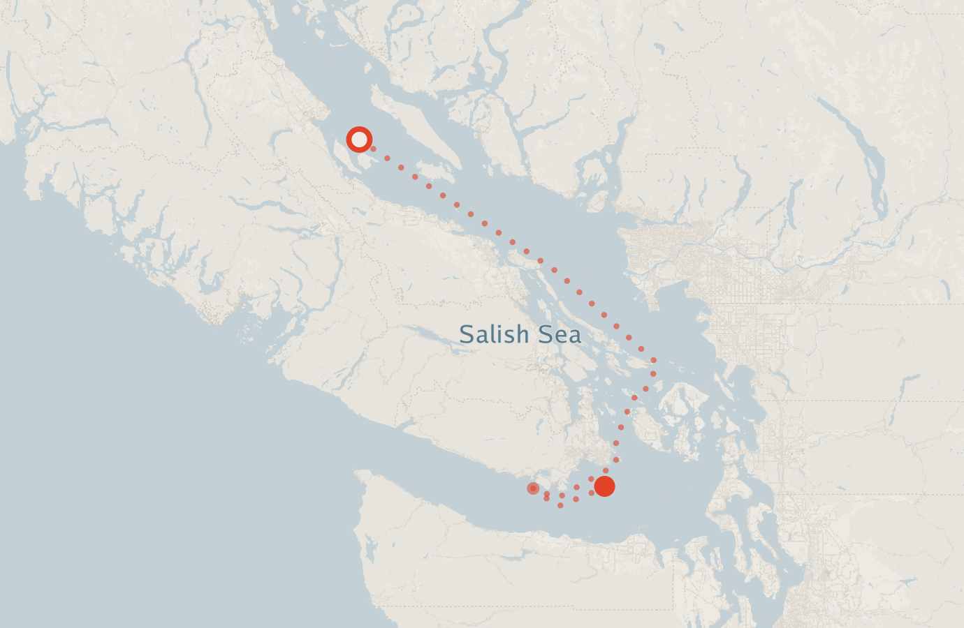 Activity map — real sighting points on an OpenStreetMap basemap