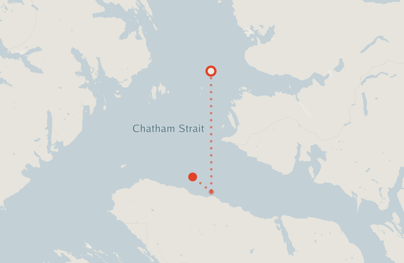 Activity map — real sighting points on an OpenStreetMap basemap