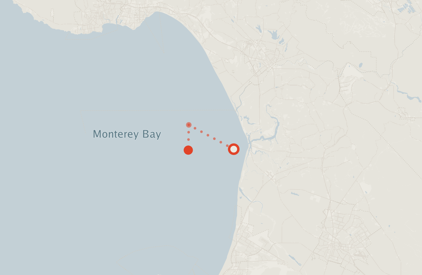 Activity map — real sighting points on an OpenStreetMap basemap