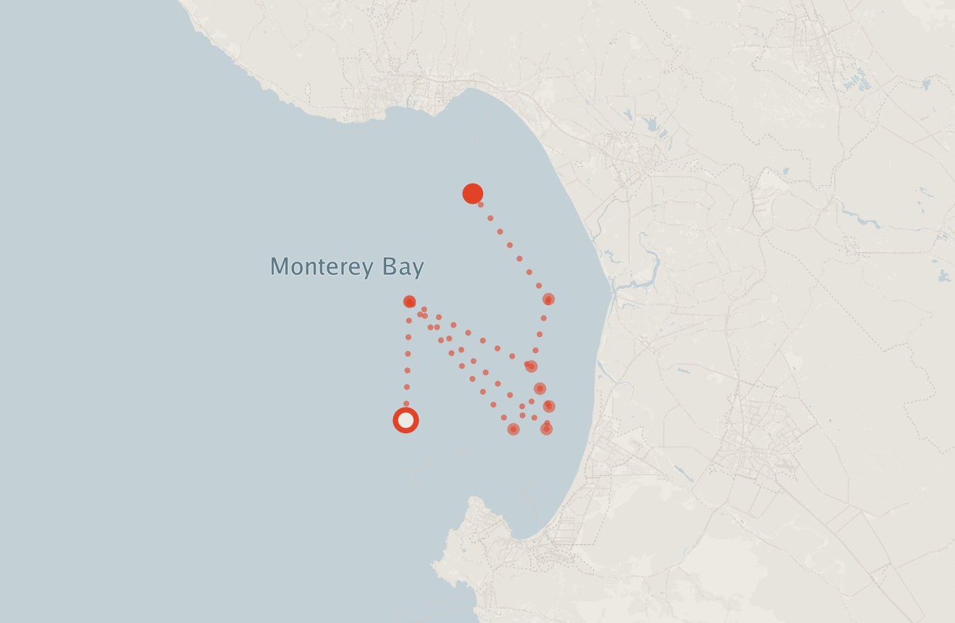 Activity map — real sighting points on an OpenStreetMap basemap