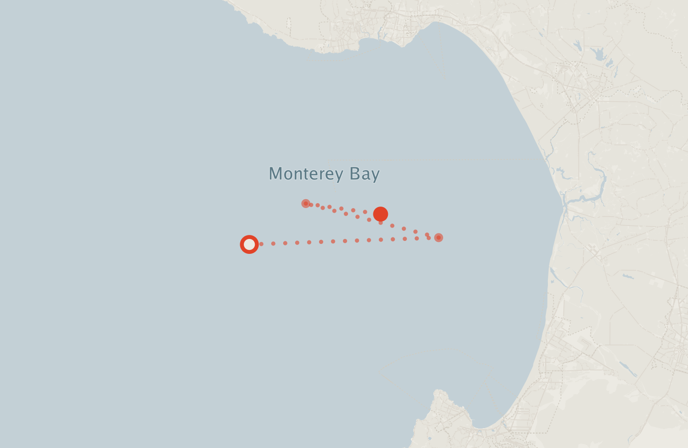 Activity map — real sighting points on an OpenStreetMap basemap