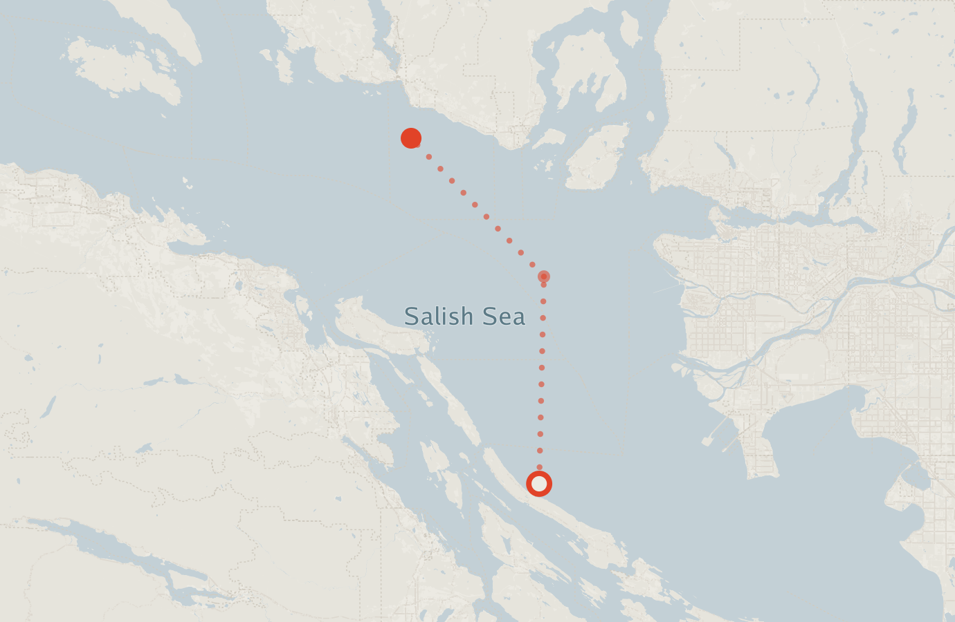 Activity map — real sighting points on an OpenStreetMap basemap