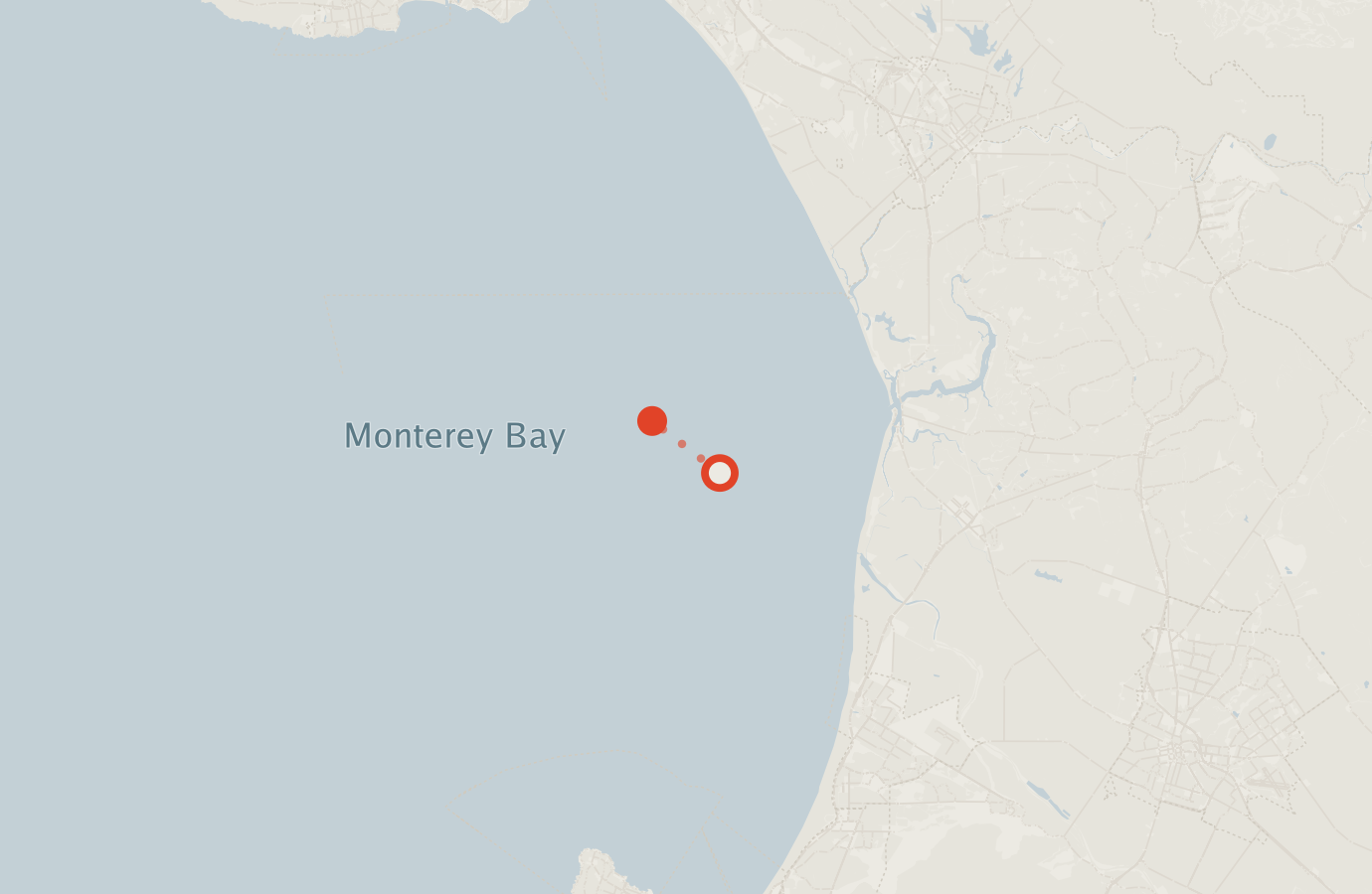 Activity map — real sighting points on an OpenStreetMap basemap