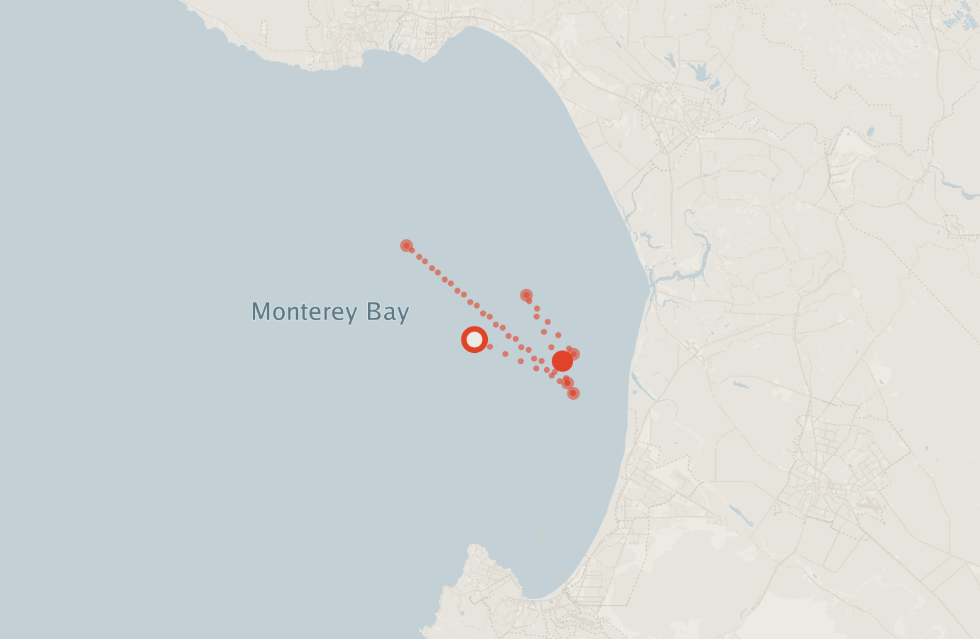 Activity map — real sighting points on an OpenStreetMap basemap