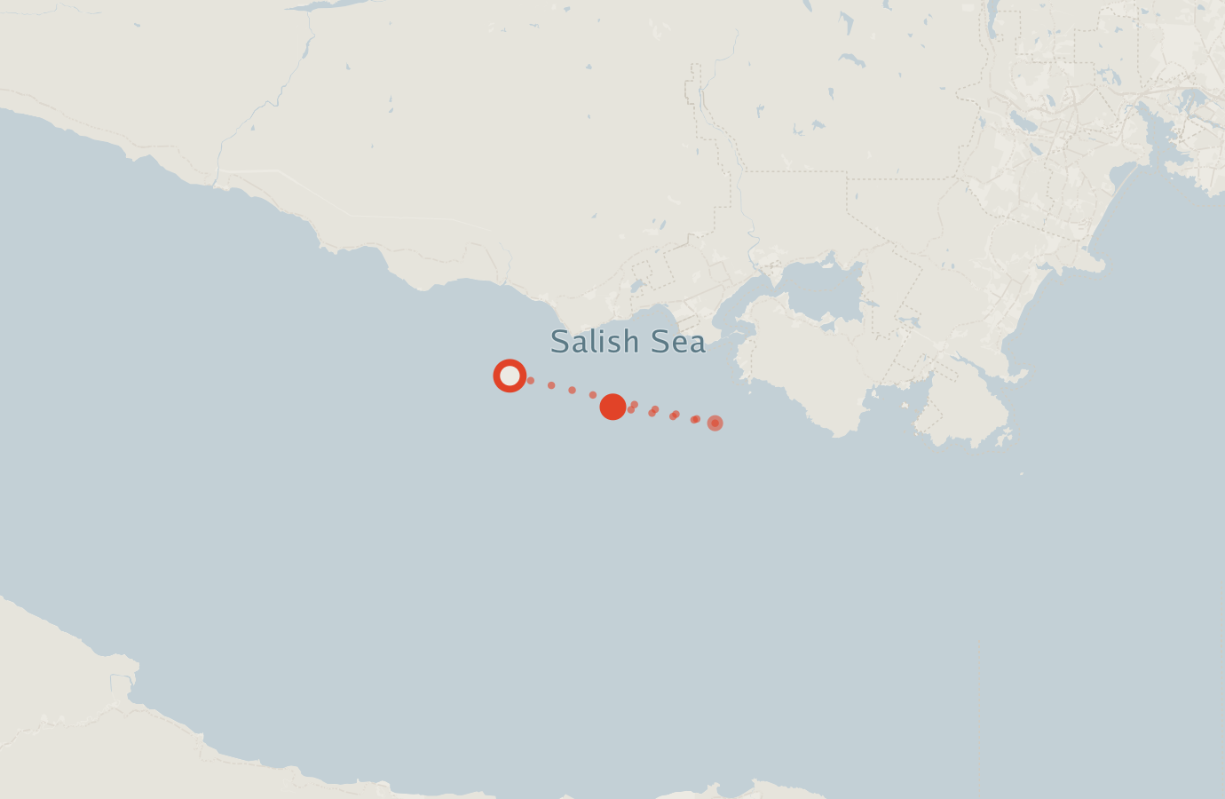 Activity map — real sighting points on an OpenStreetMap basemap