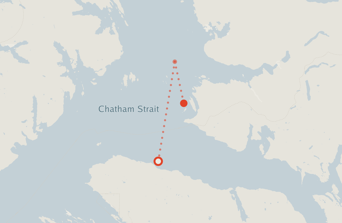 Activity map — real sighting points on an OpenStreetMap basemap