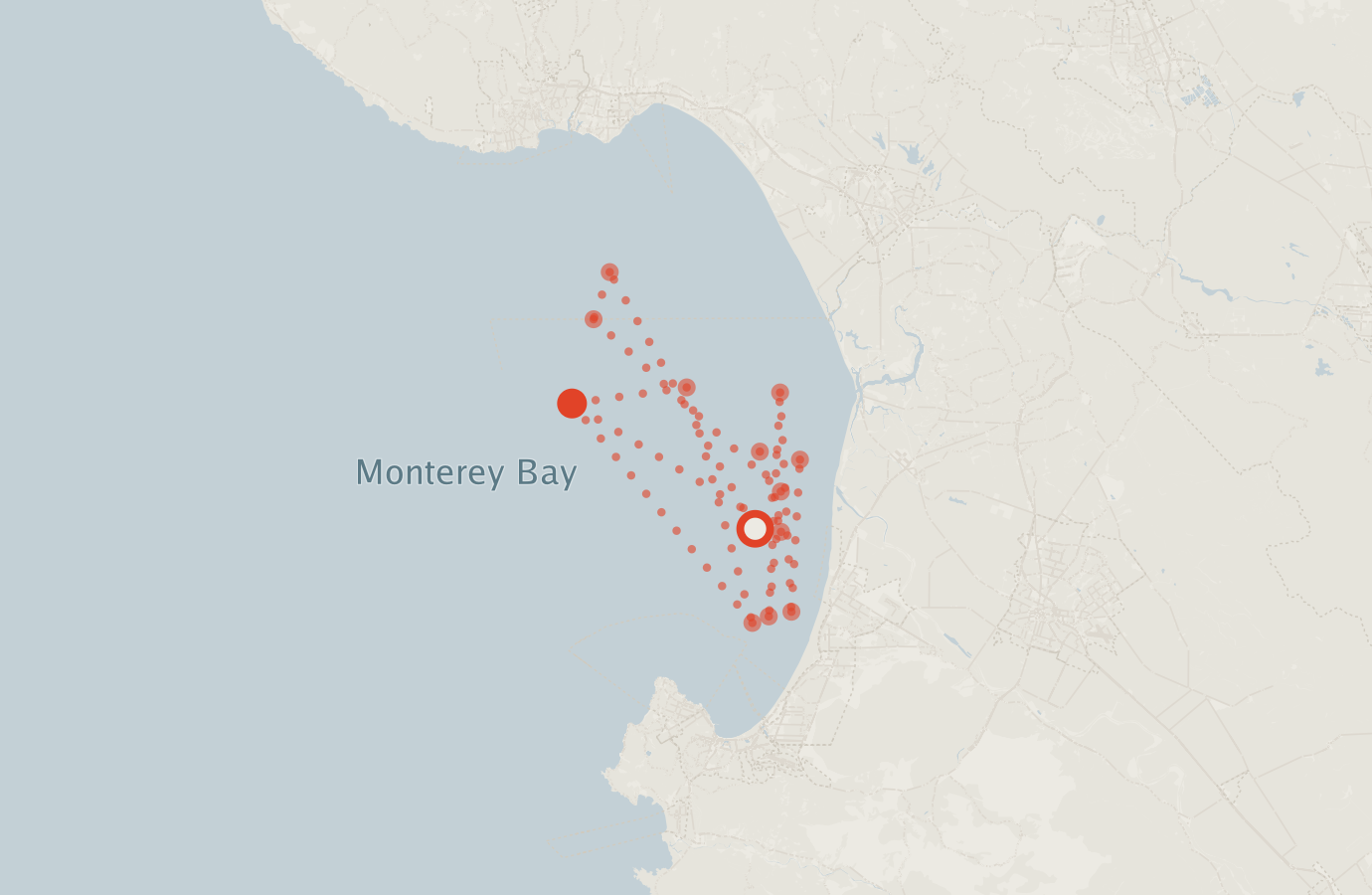 Activity map — real sighting points on an OpenStreetMap basemap