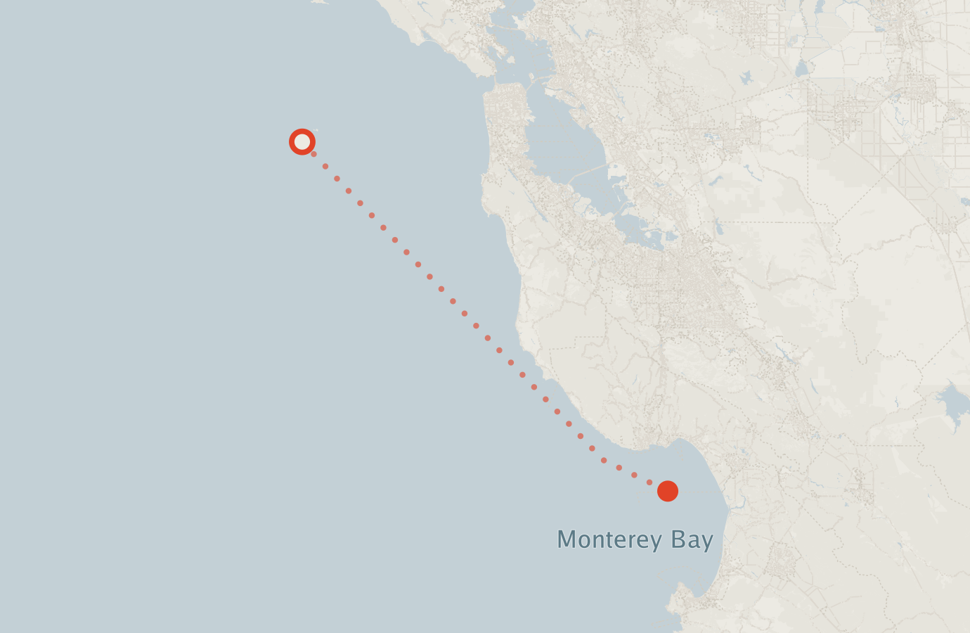 Activity map — real sighting points on an OpenStreetMap basemap