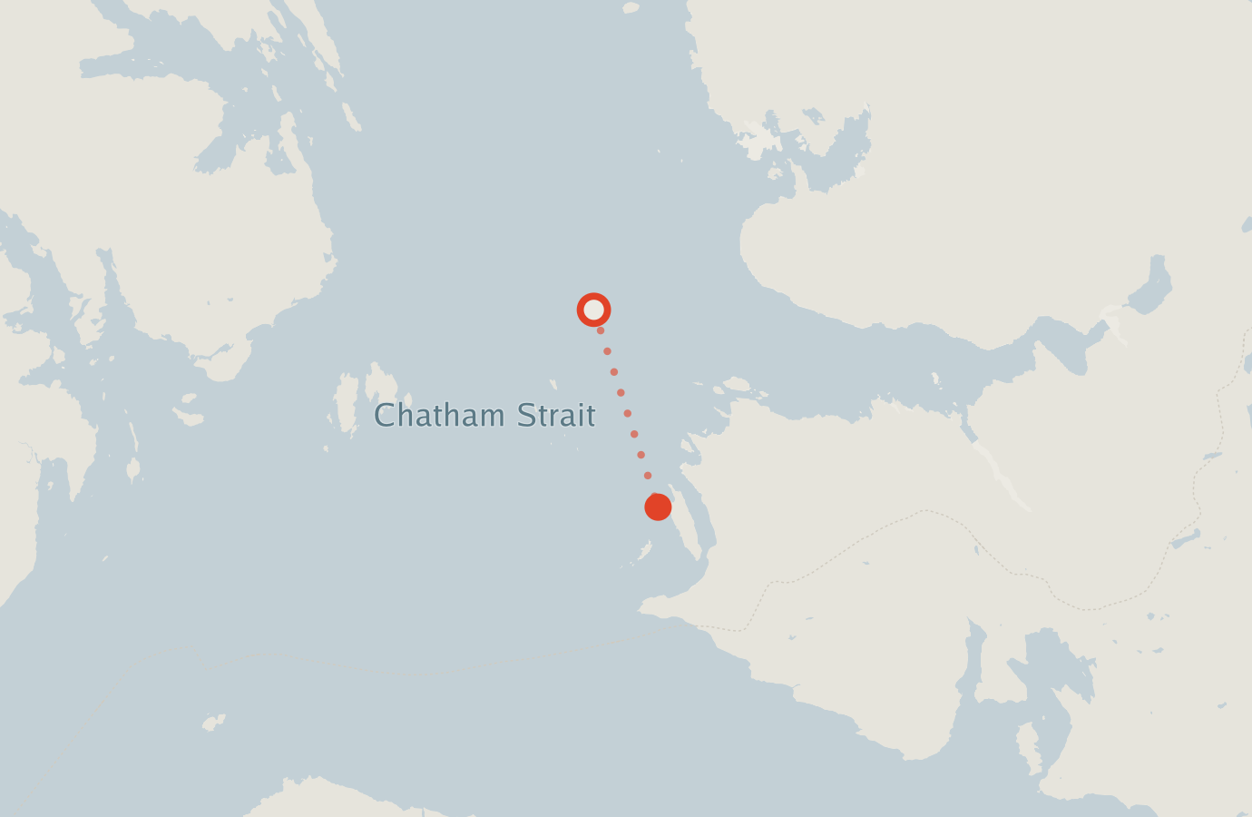 Activity map — real sighting points on an OpenStreetMap basemap