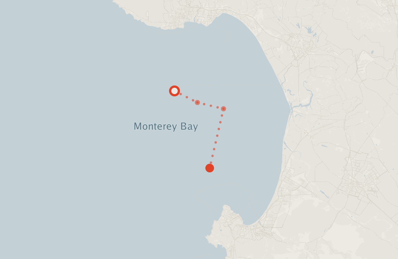 Activity map — real sighting points on an OpenStreetMap basemap