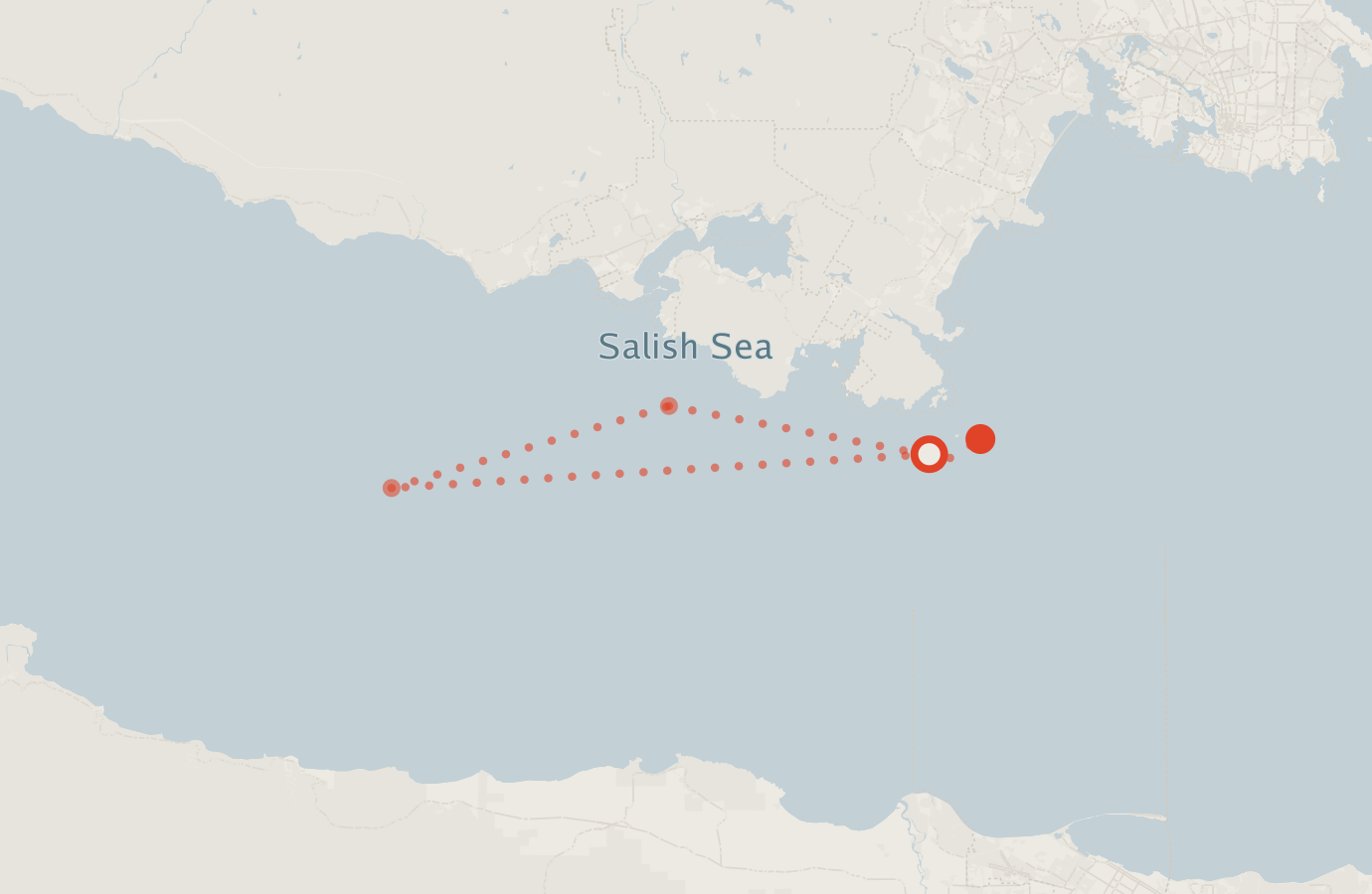 Activity map — real sighting points on an OpenStreetMap basemap
