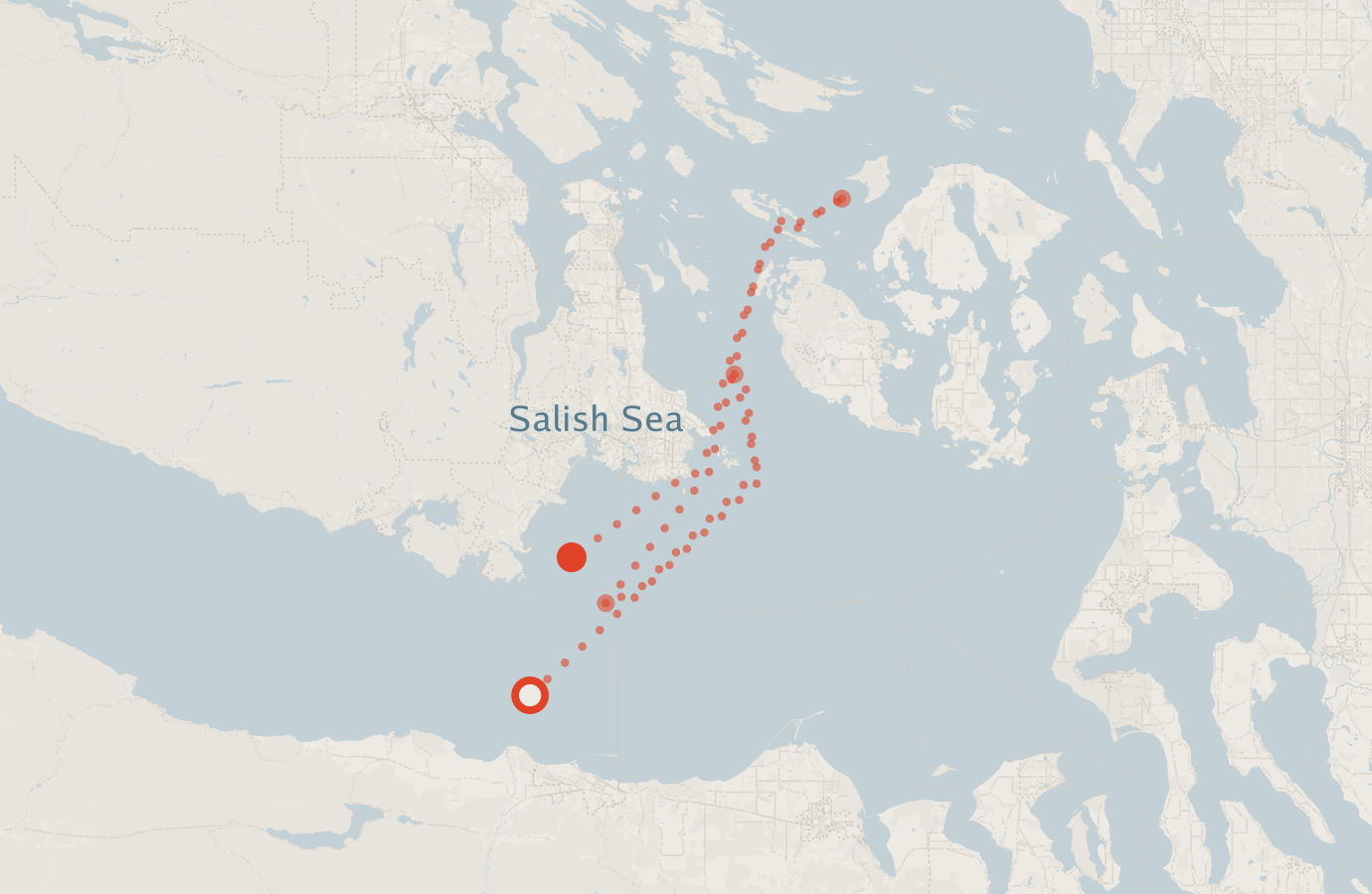 Activity map — real sighting points on an OpenStreetMap basemap