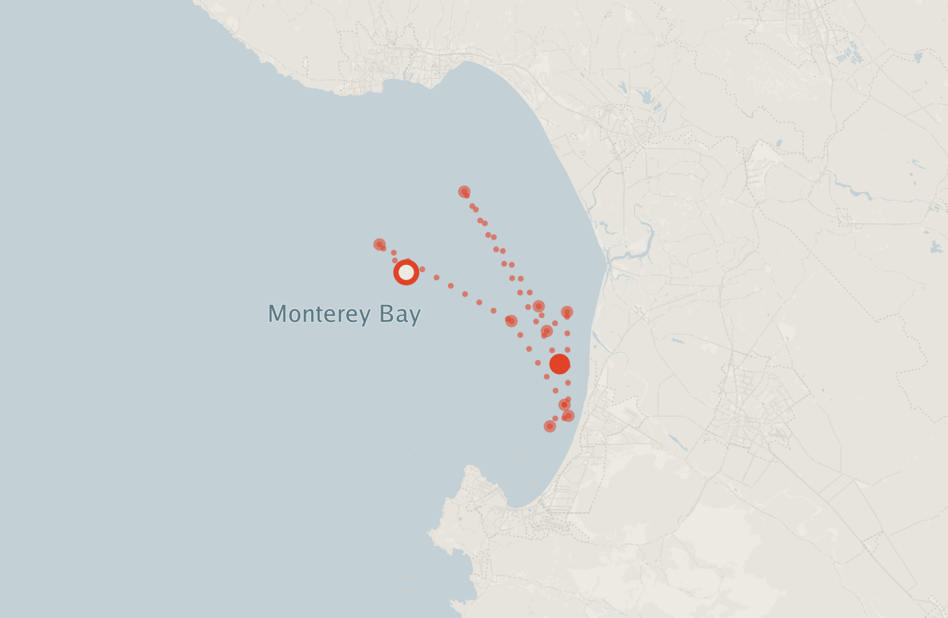 Activity map — real sighting points on an OpenStreetMap basemap