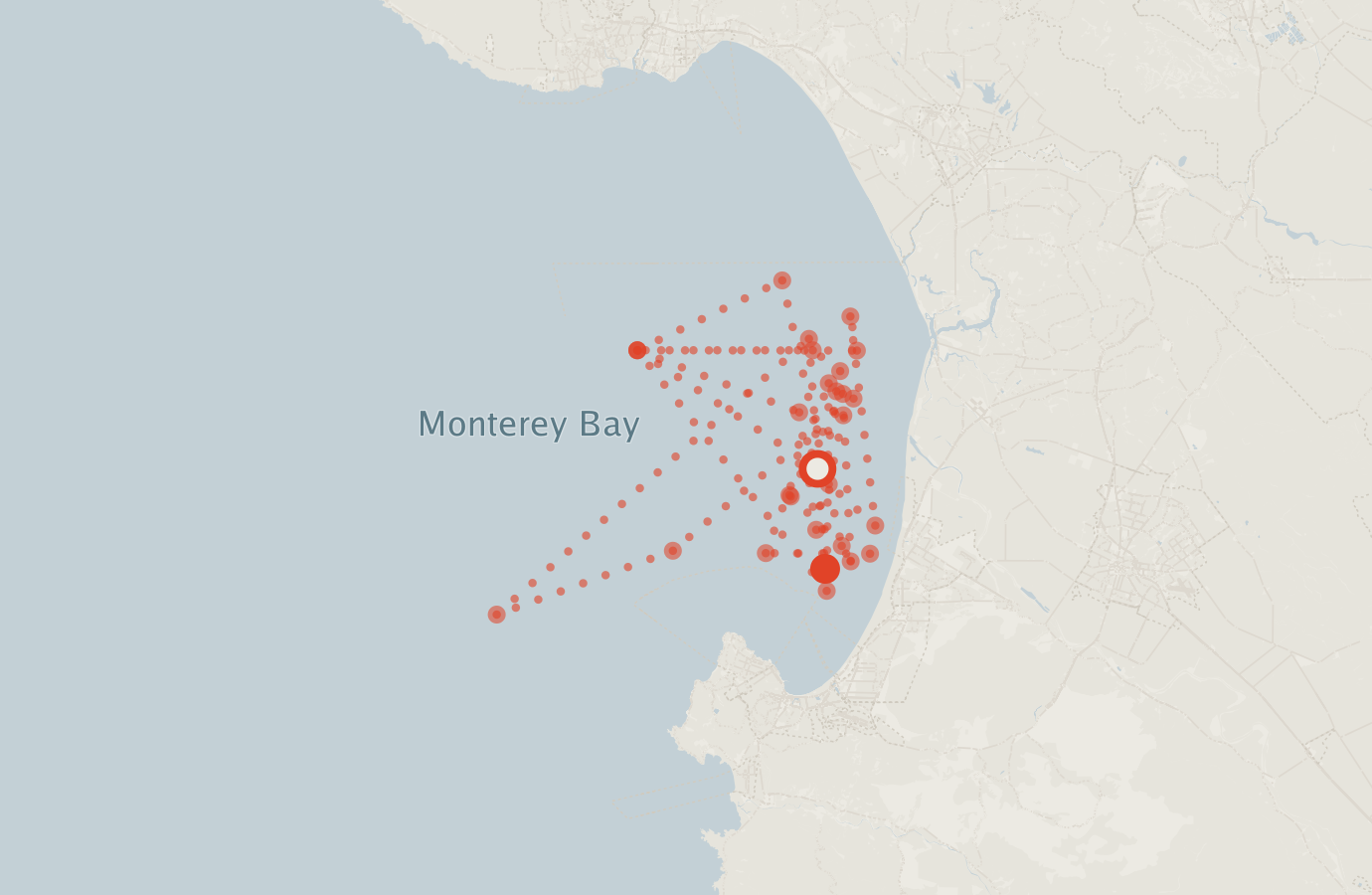 Activity map — real sighting points on an OpenStreetMap basemap