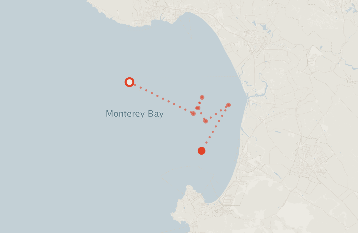 Activity map — real sighting points on an OpenStreetMap basemap