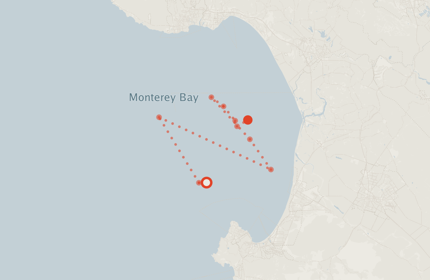 Activity map — real sighting points on an OpenStreetMap basemap