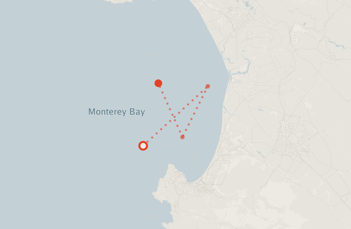 Activity map — real sighting points on an OpenStreetMap basemap