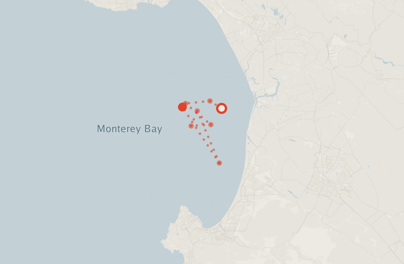 Activity map — real sighting points on an OpenStreetMap basemap