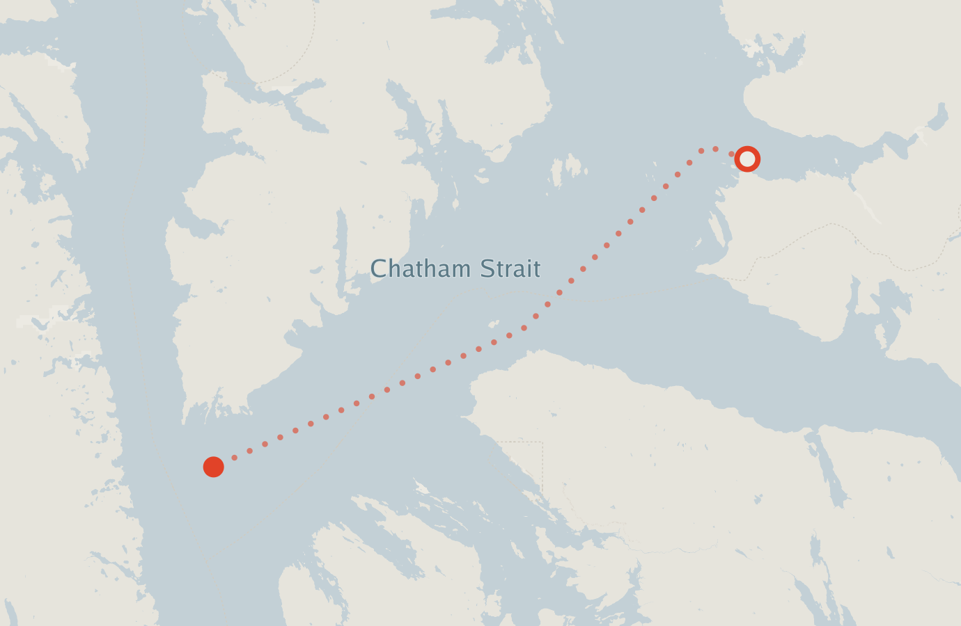 Activity map — real sighting points on an OpenStreetMap basemap