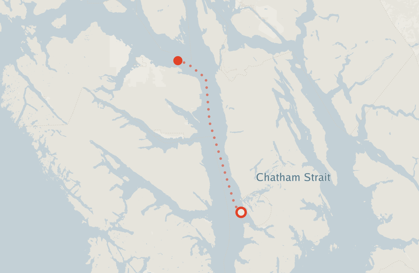 Activity map — real sighting points on an OpenStreetMap basemap