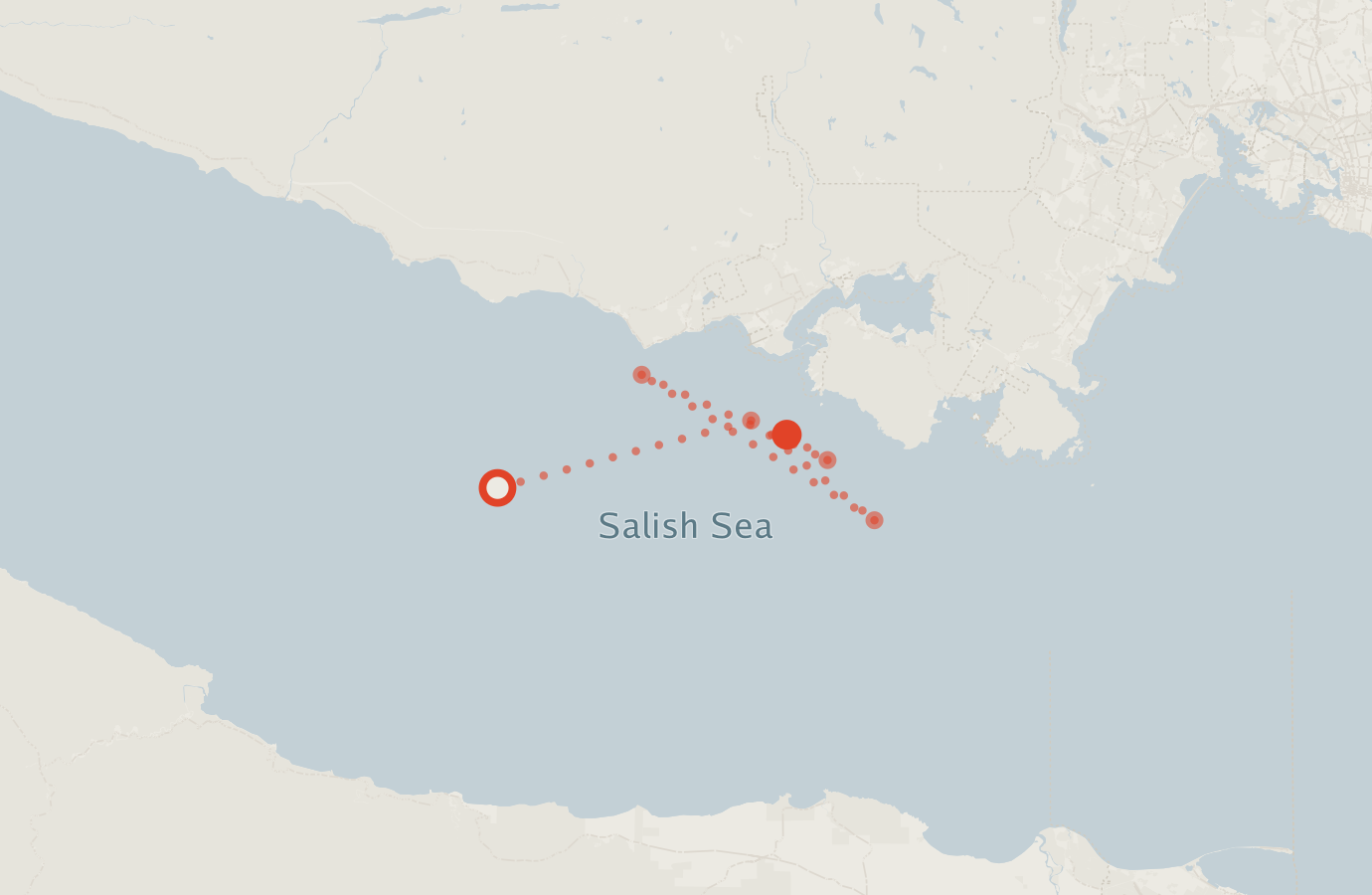 Activity map — real sighting points on an OpenStreetMap basemap