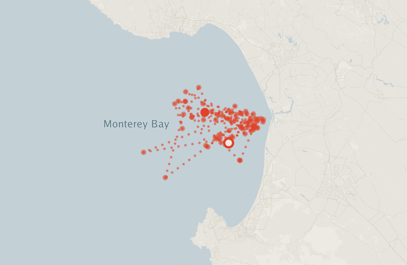 Activity map — real sighting points on an OpenStreetMap basemap
