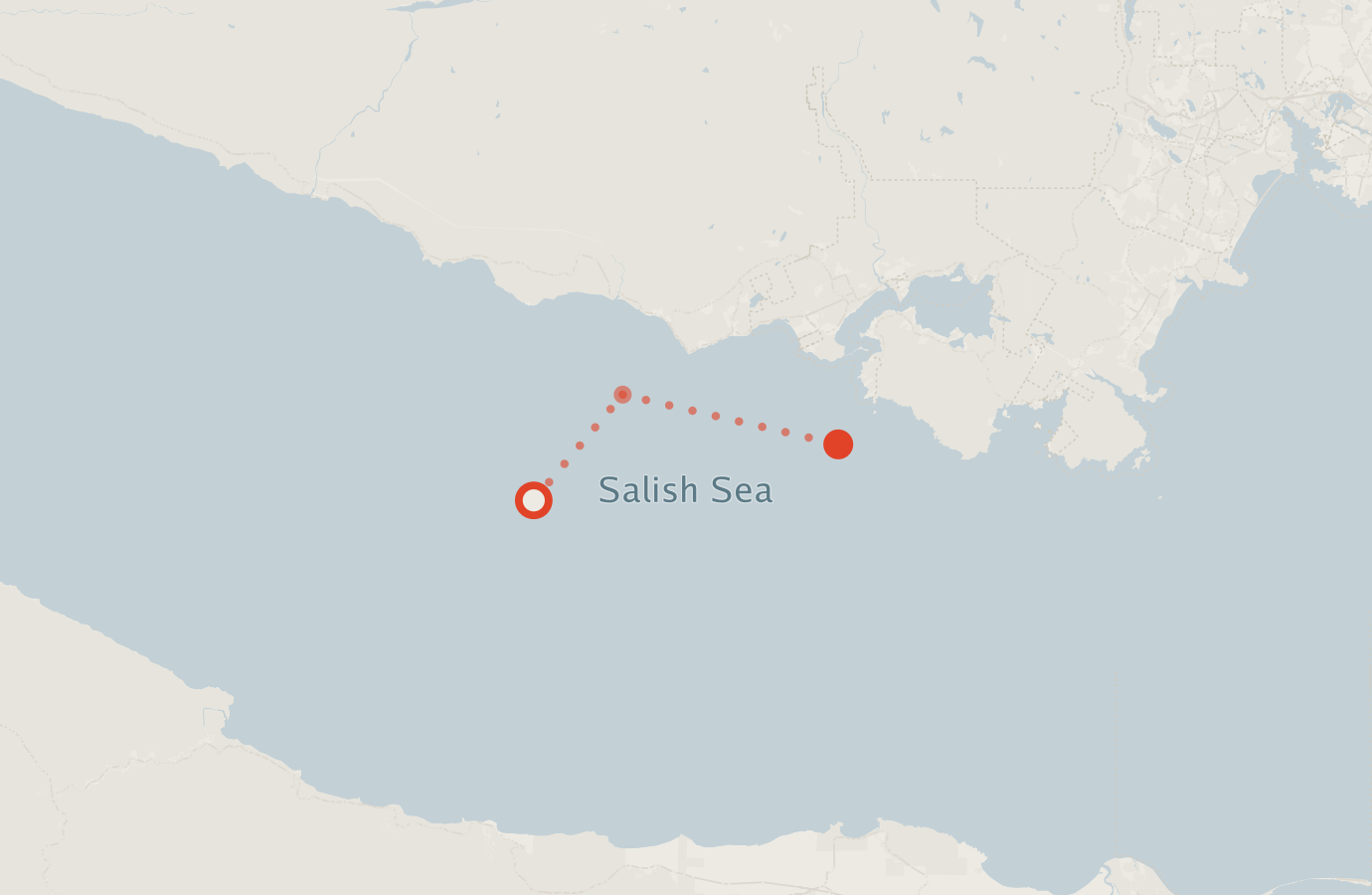 Activity map — real sighting points on an OpenStreetMap basemap