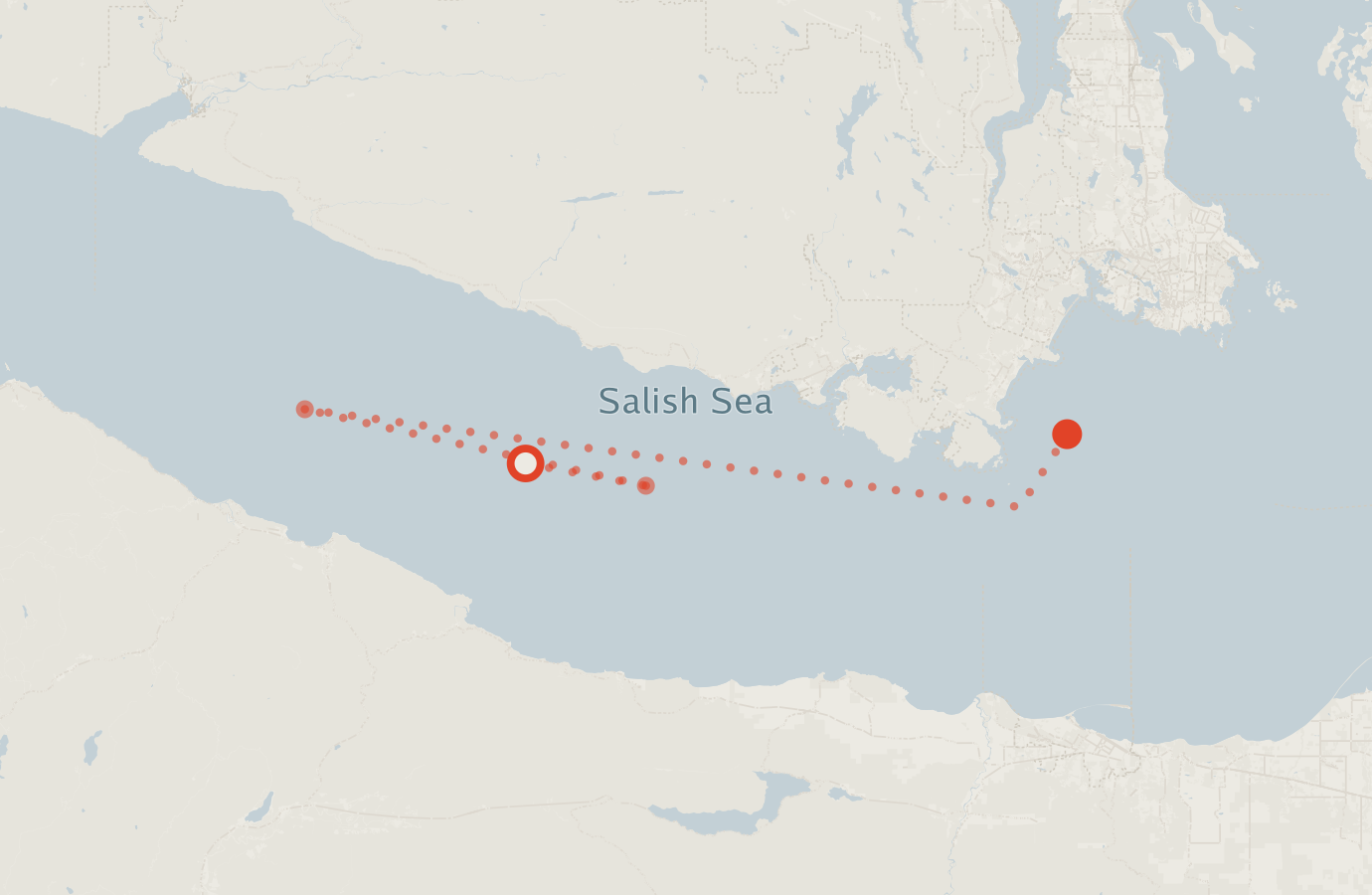 Activity map — real sighting points on an OpenStreetMap basemap