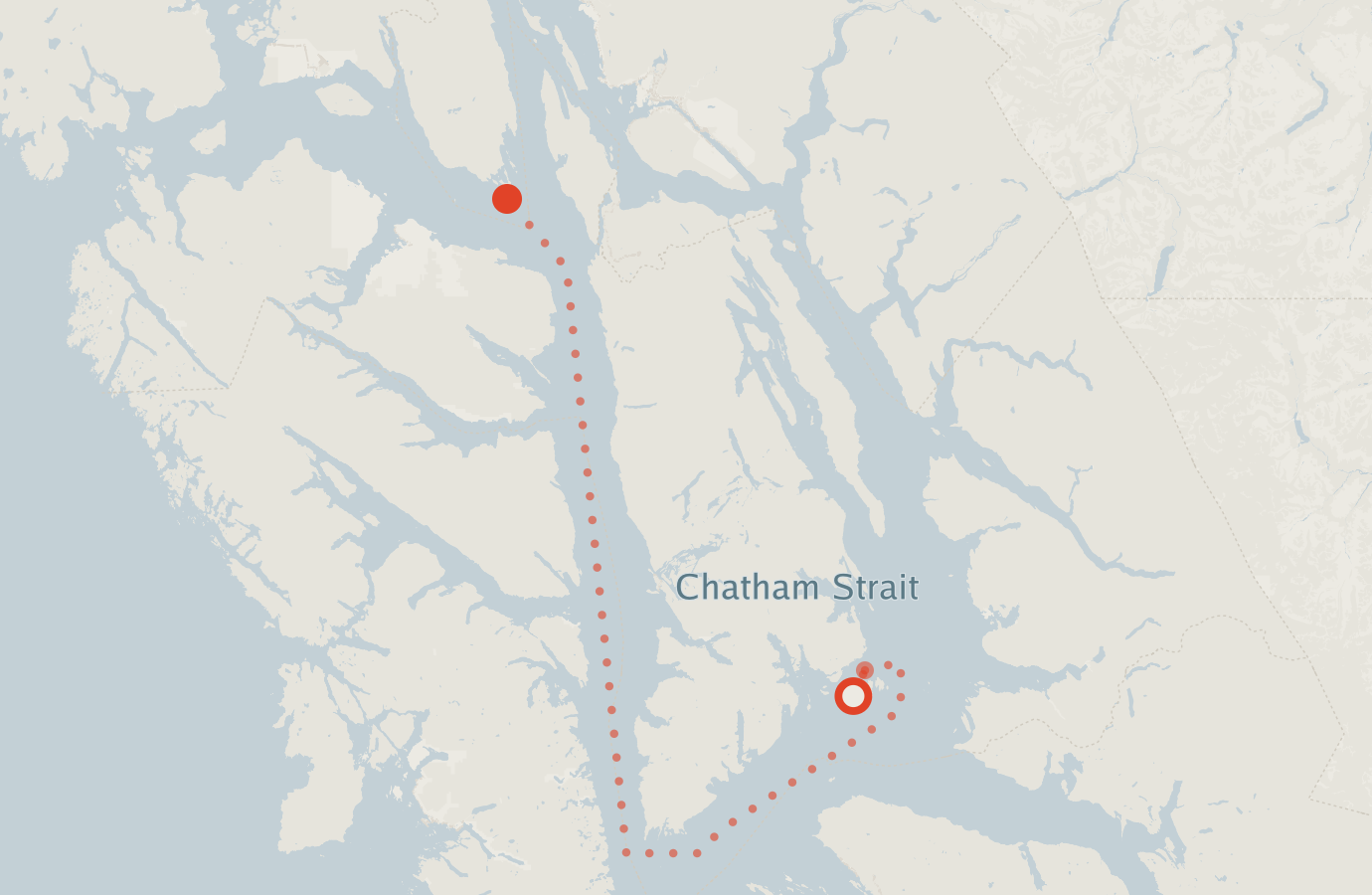 Activity map — real sighting points on an OpenStreetMap basemap