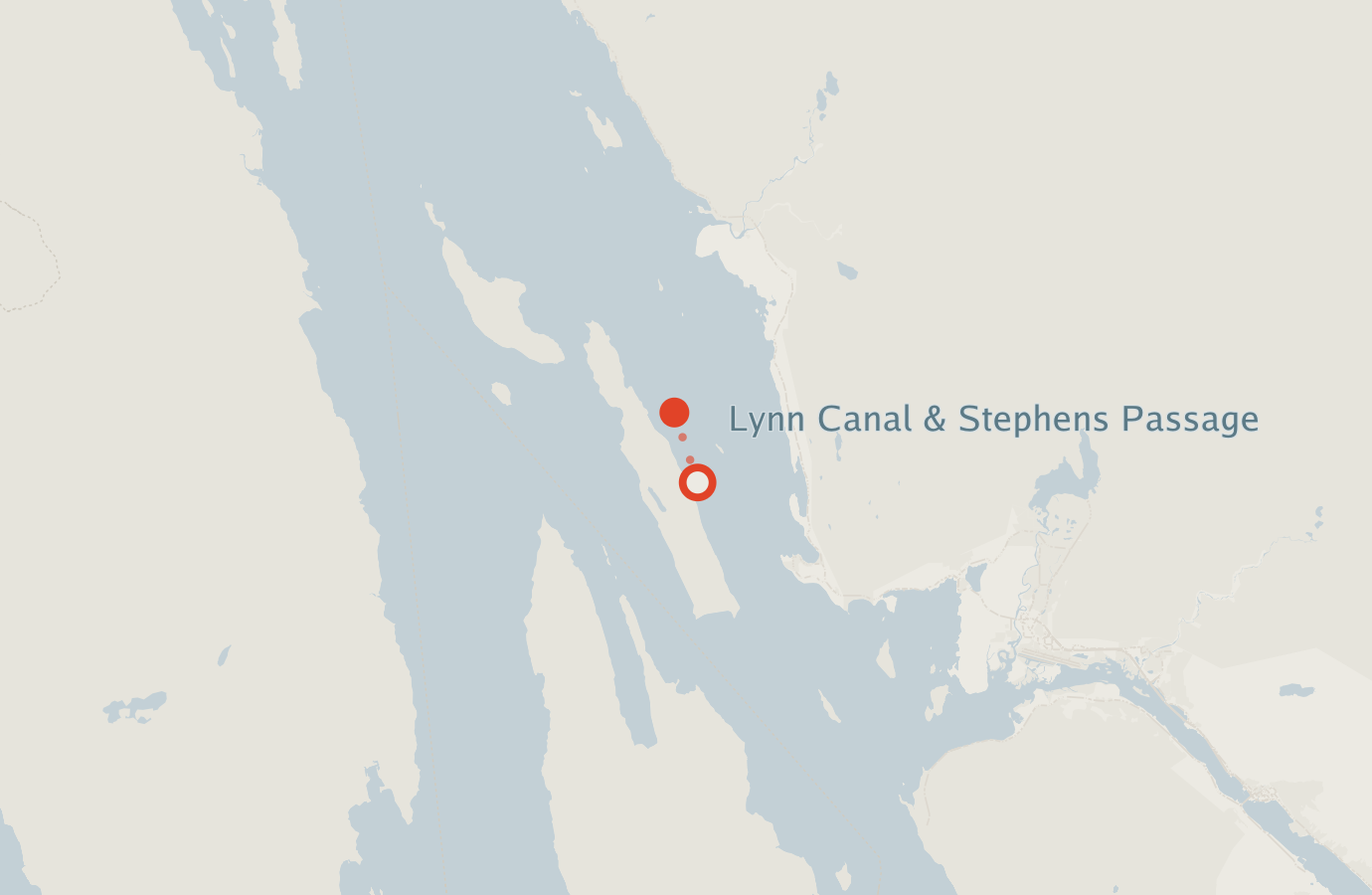 Activity map — real sighting points on an OpenStreetMap basemap