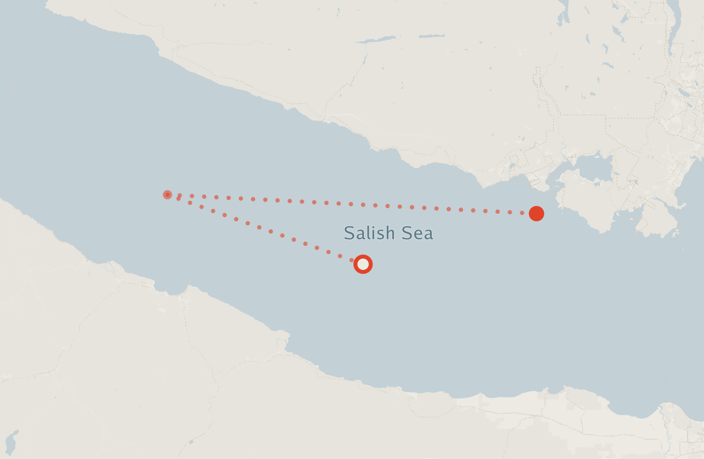Activity map — real sighting points on an OpenStreetMap basemap