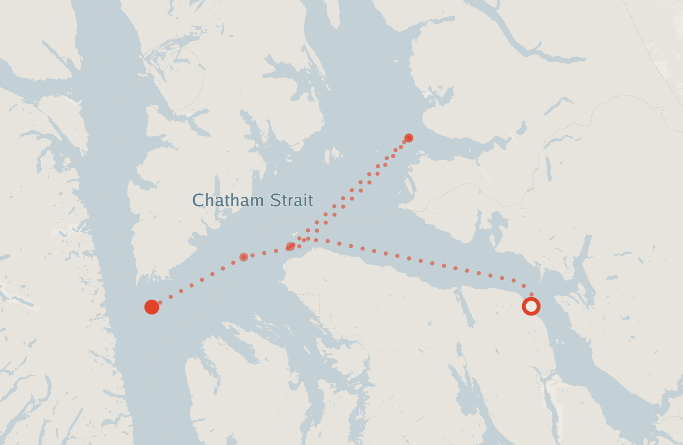 Activity map — real sighting points on an OpenStreetMap basemap