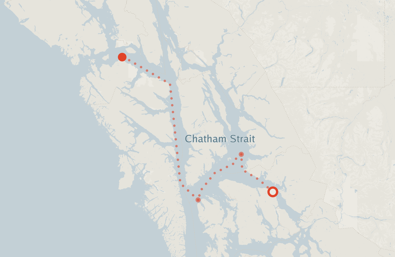 Activity map — real sighting points on an OpenStreetMap basemap