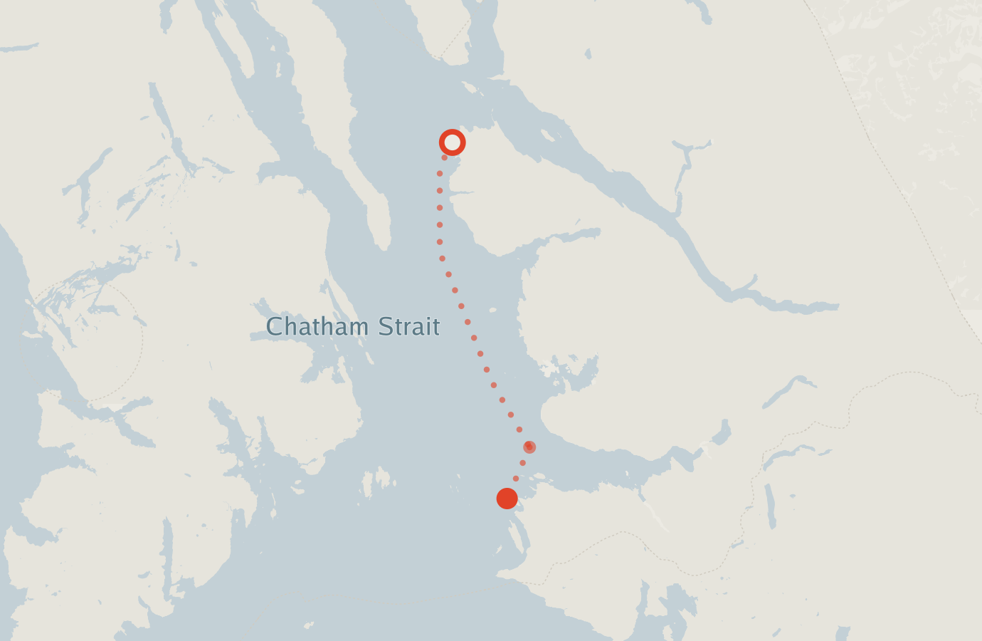 Activity map — real sighting points on an OpenStreetMap basemap