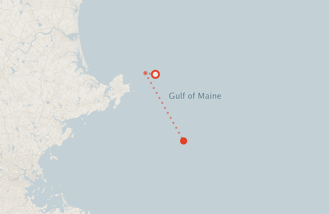 Activity map — real sighting points on an OpenStreetMap basemap