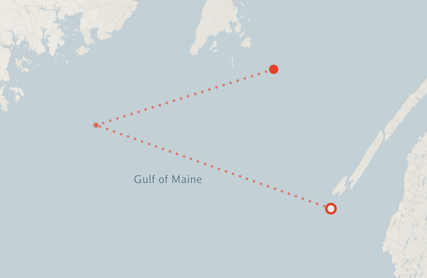 Activity map — real sighting points on an OpenStreetMap basemap