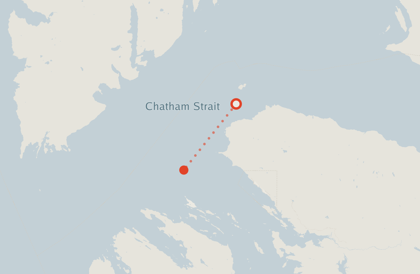 Activity map — real sighting points on an OpenStreetMap basemap