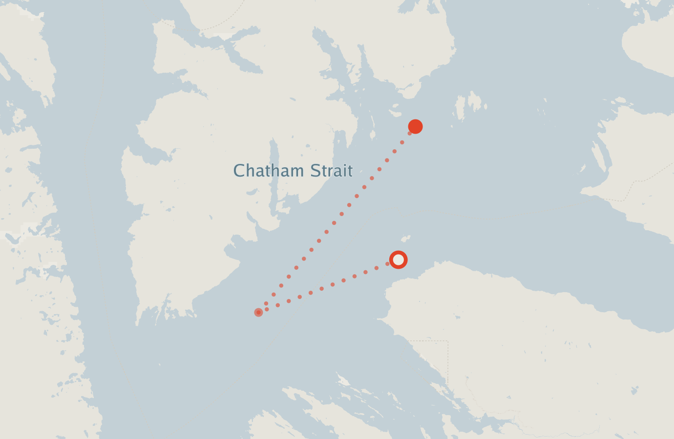 Activity map — real sighting points on an OpenStreetMap basemap