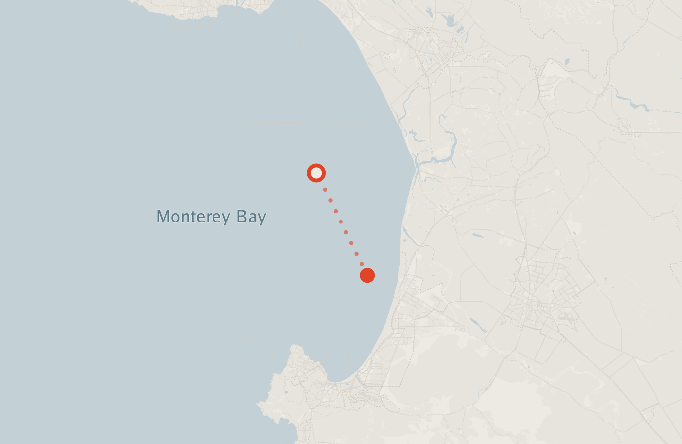 Activity map — real sighting points on an OpenStreetMap basemap