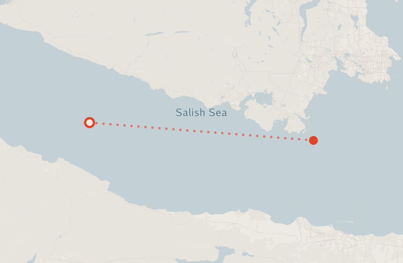 Activity map — real sighting points on an OpenStreetMap basemap