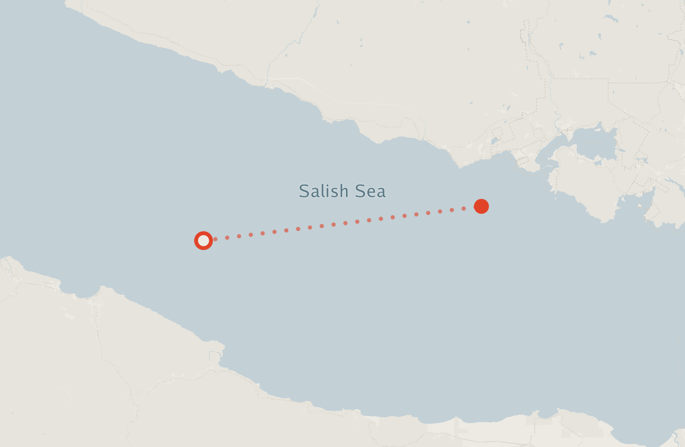 Activity map — real sighting points on an OpenStreetMap basemap