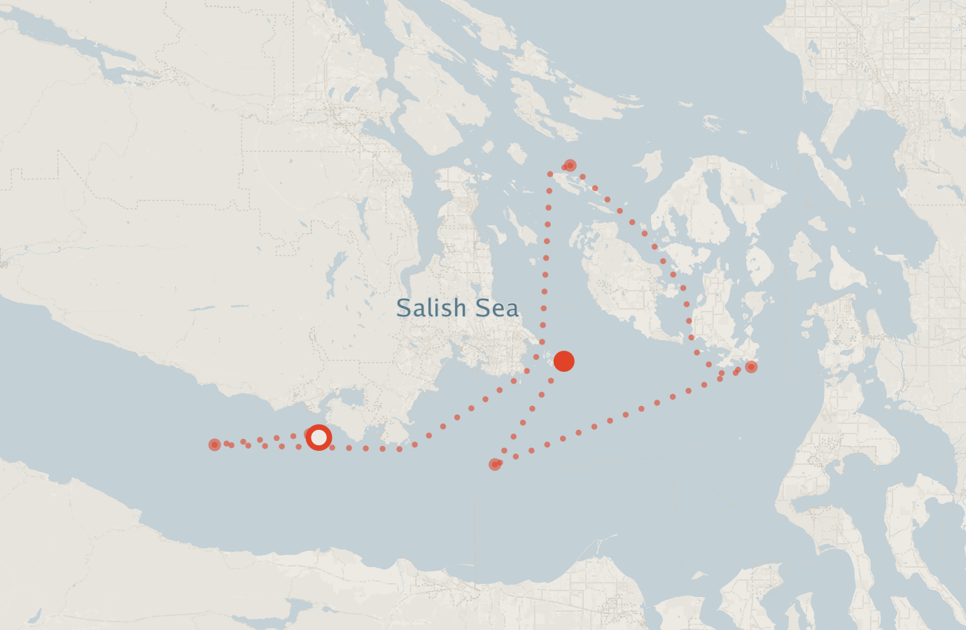 Activity map — real sighting points on an OpenStreetMap basemap